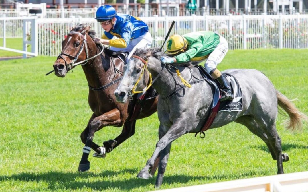 Express Time too tough at Ascot
