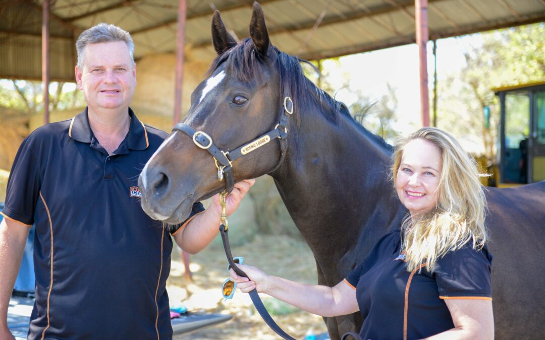 Scenic Lodge dominates Inglis Digital Sale