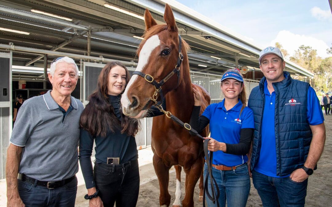 Deep Field mares trifecta Magic Millions Sale