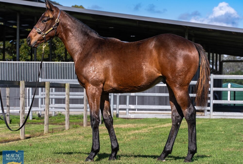 Full-circle foal for Peters Investments