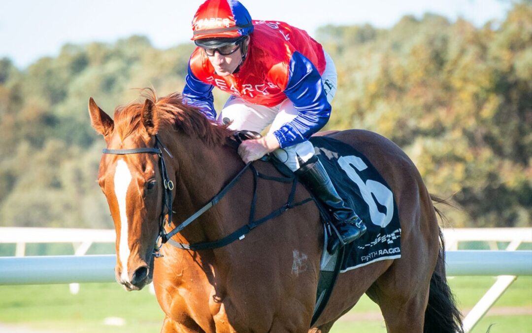 Perfect Pike Spin for Pearce Racing