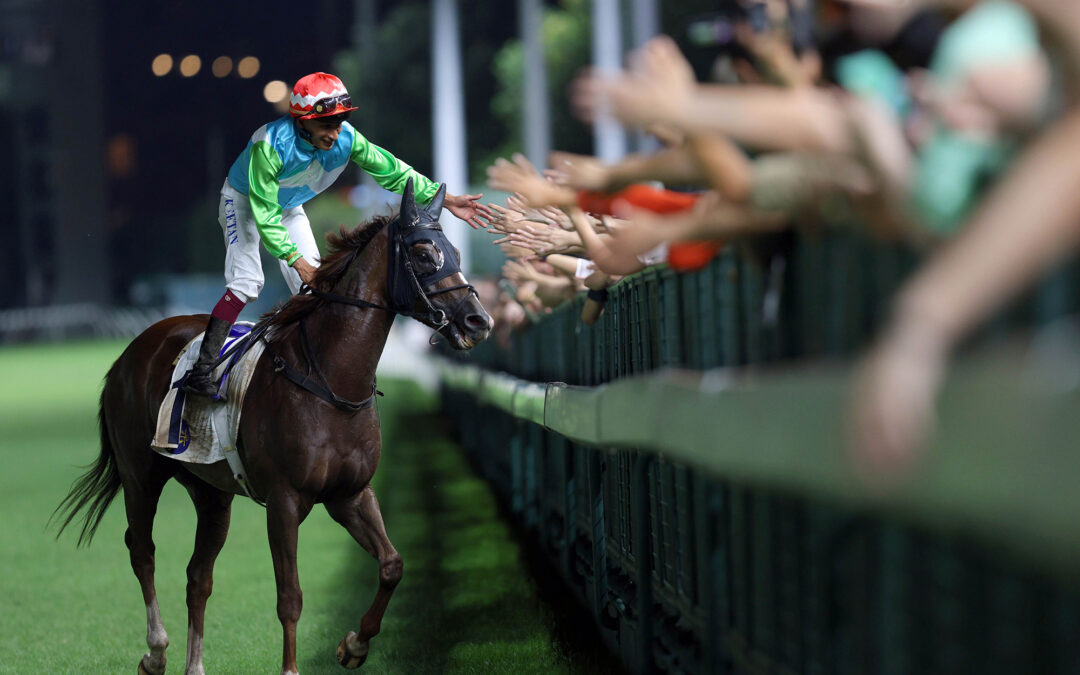 Hong Kong Dragon delivers for Safeguard