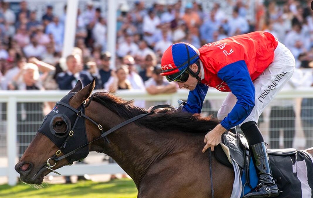 Goldfields gallopers gallivanting at Ascot