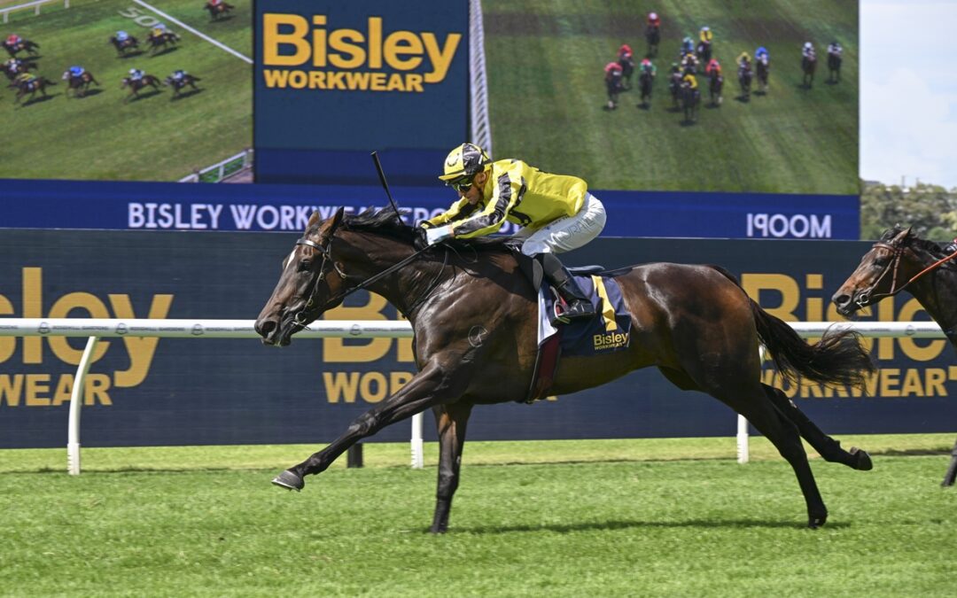 Golden Slipper meeting the right fit for Gracie