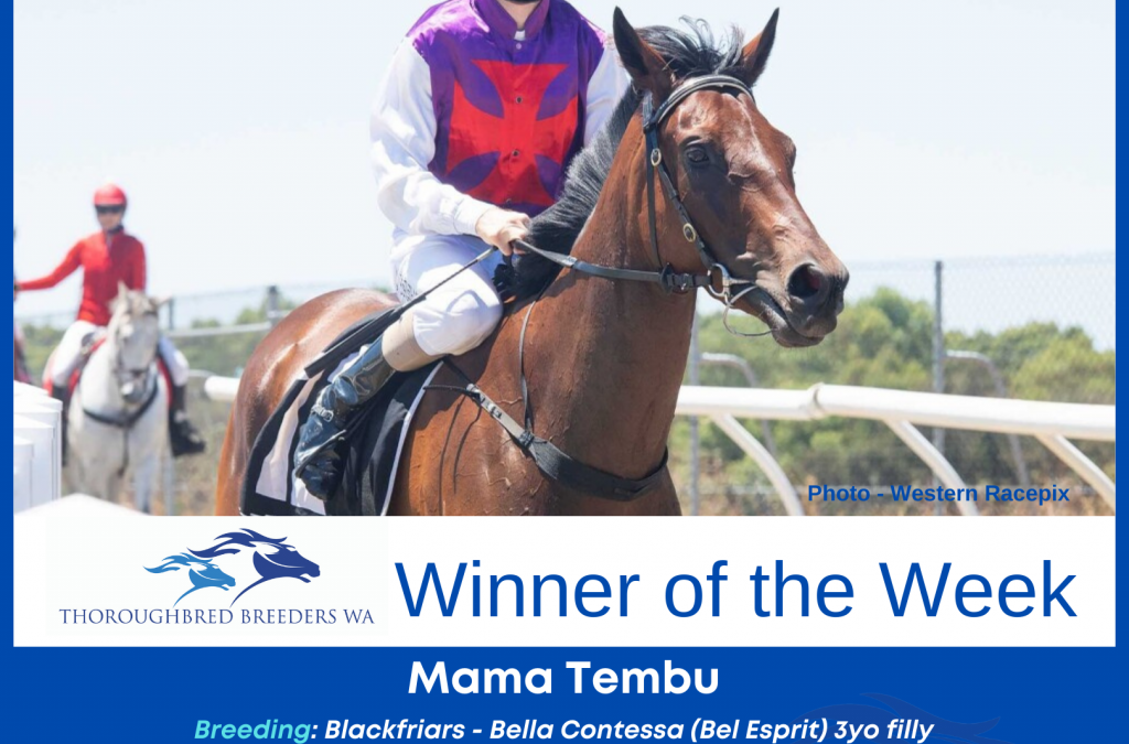 Mama Tembu – TBWA Winner Of The Week