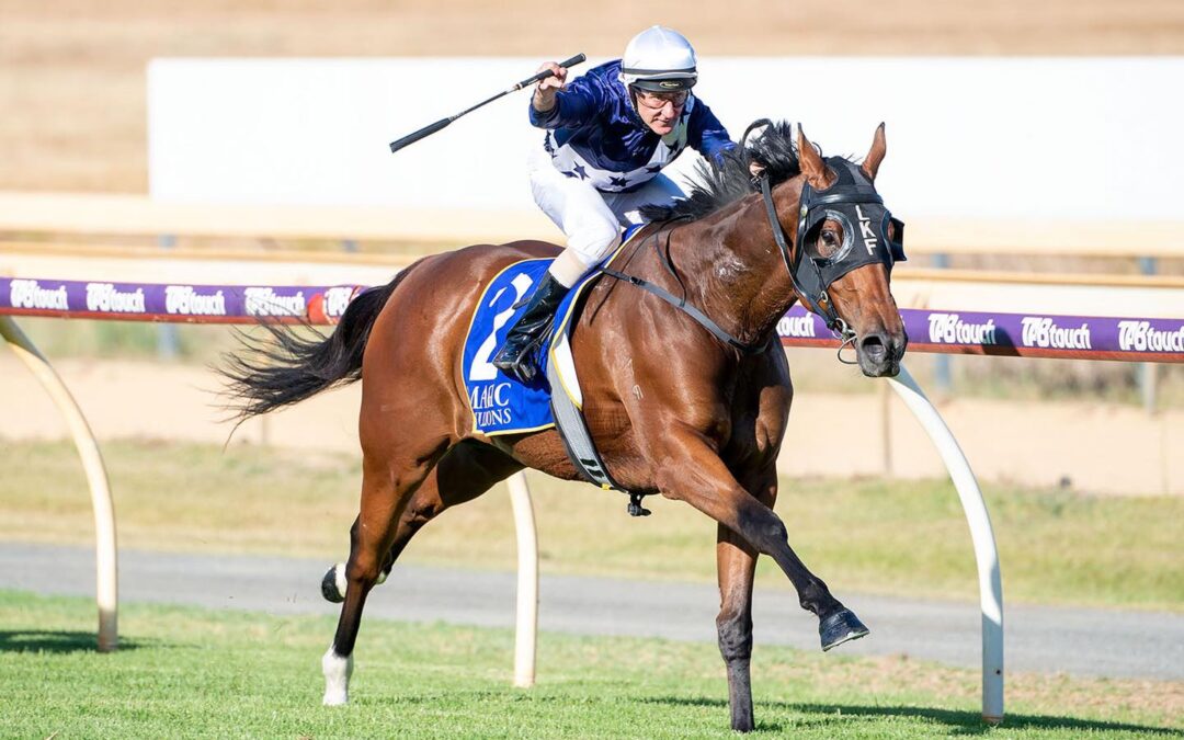Manhattan Rain sires 17th Stakes Winner