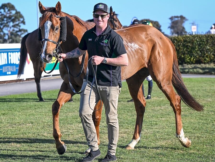 Home track suits Howley’s Hurricane