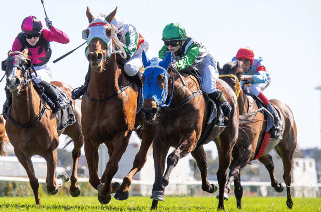No-fault decision favours Niccimota