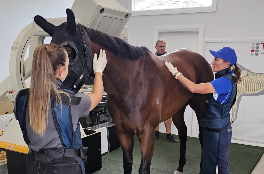 RWWA funds racehorse research