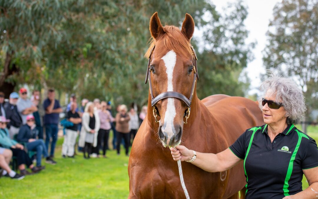 Swan Valley Showcase for Safeguard
