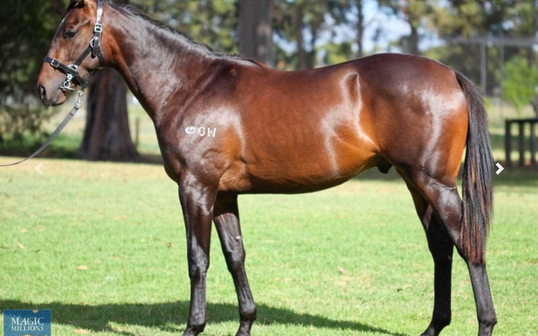 Sky Duke holds sway on Saturday