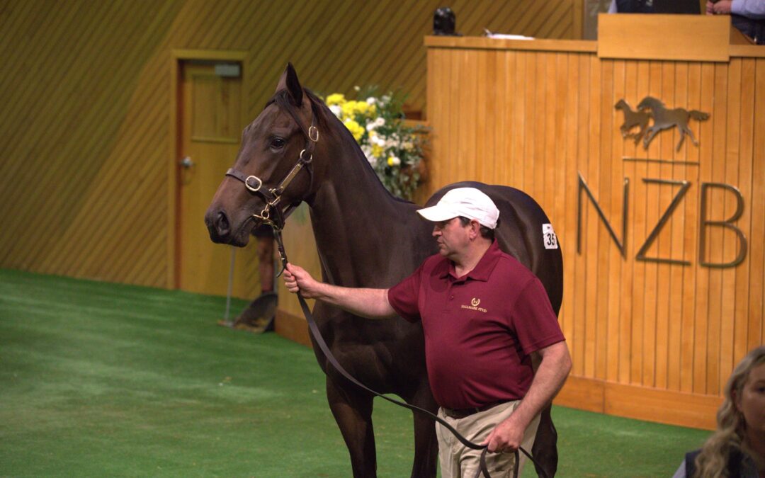 Peters pedigree behind Glanced