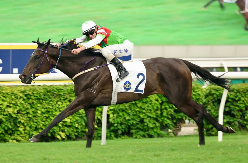 Hong Kong multi-millionaires bred in WA