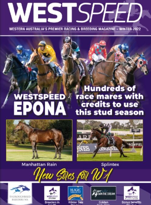 Westspeed Stallions Magazine online