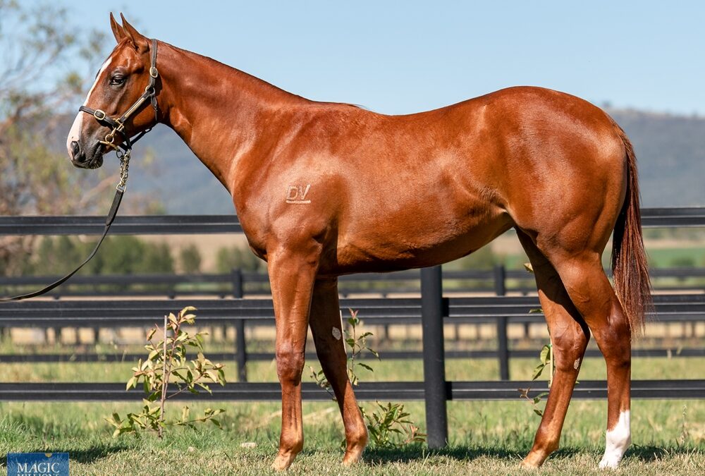 Good News Week for Darling View