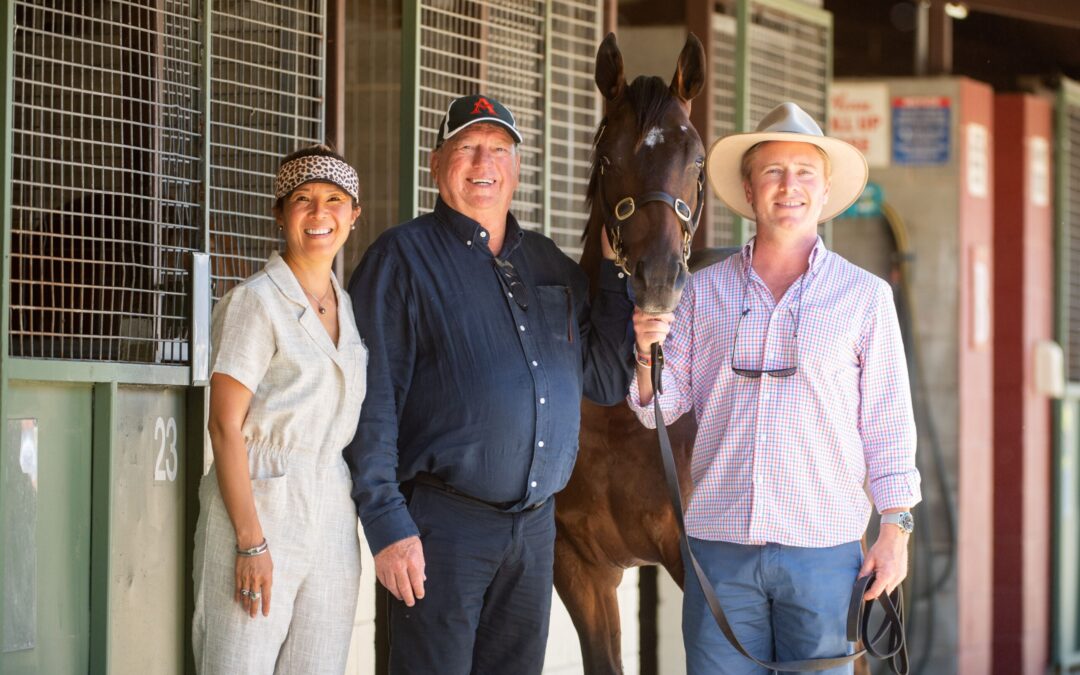 Amelia Park colt lights up Gold Coast