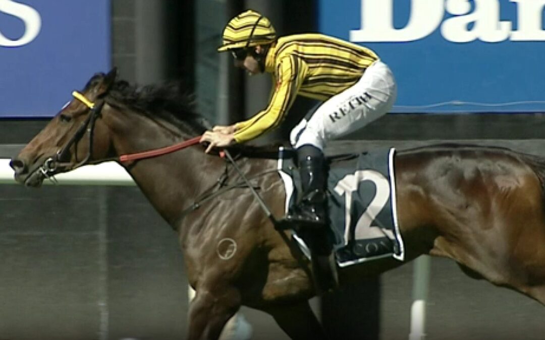 Azure Angel another Widdup winner from WA