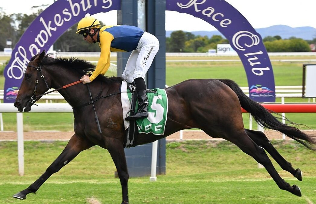 Quilista foals a Queen in Sydney