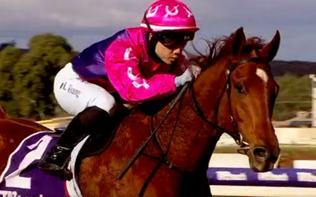 Fernie Wont Wait For Luck in Kalgoorlie