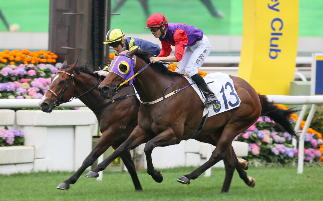 Best of health for Snippetson at Sha Tin