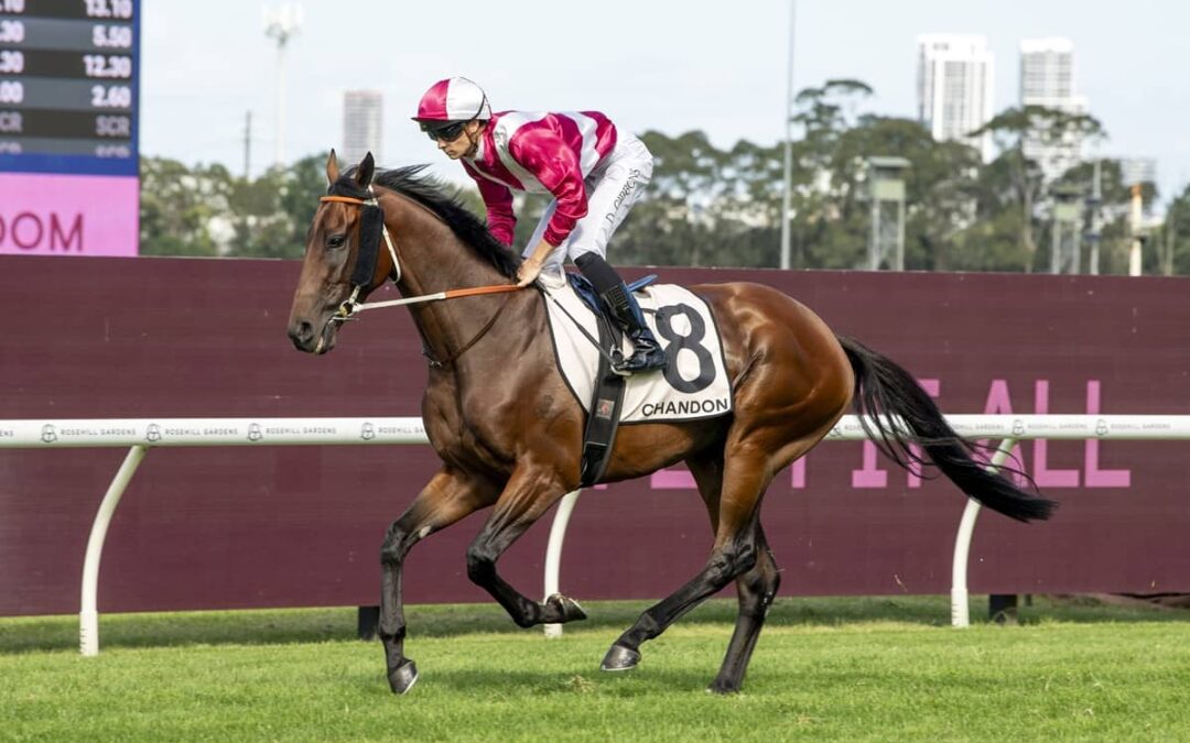 Federalist leads weekend winners for Peters