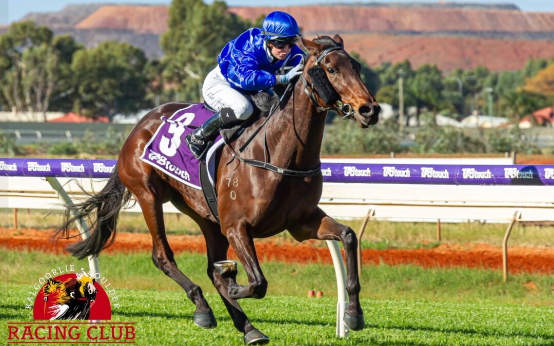 Sparks Fly for Lightning Bloodstock