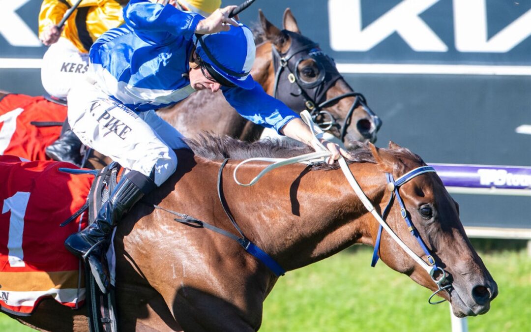 Winning hand for Geisel Park in New Year