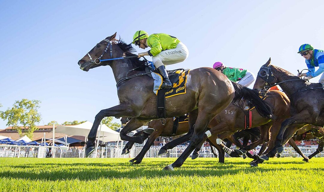 Black-type back-up for River Beau
