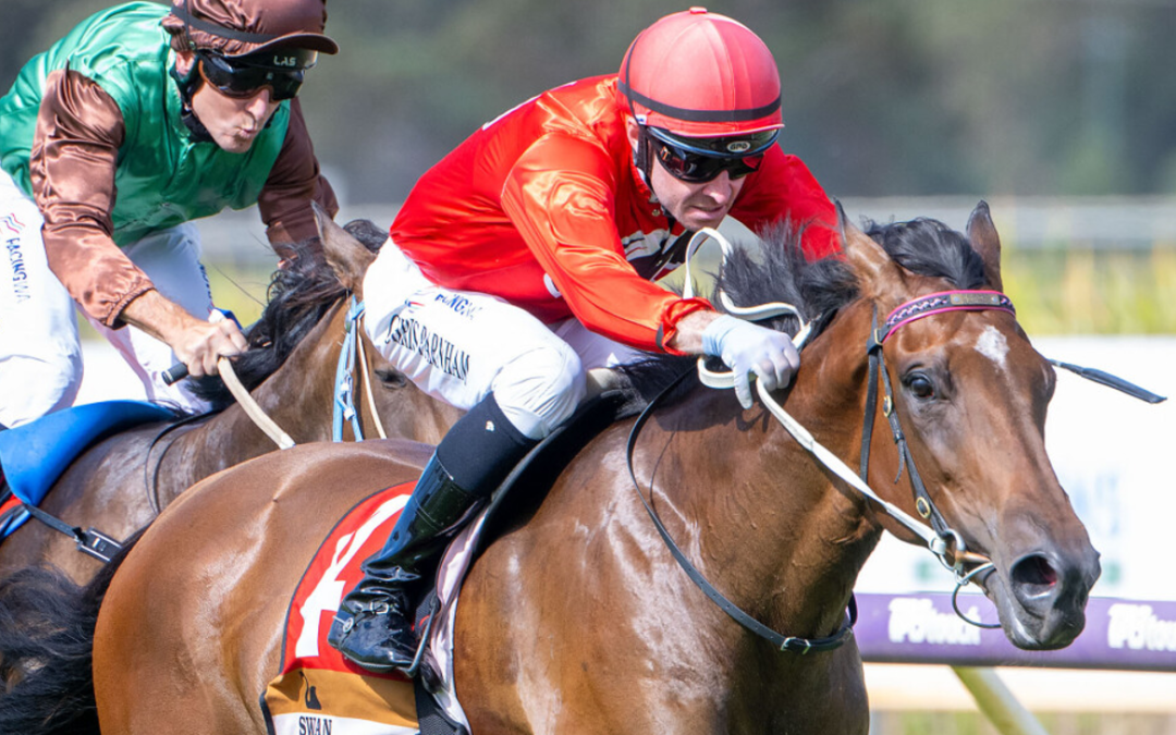 Rissoles repeater in TBWA Classic