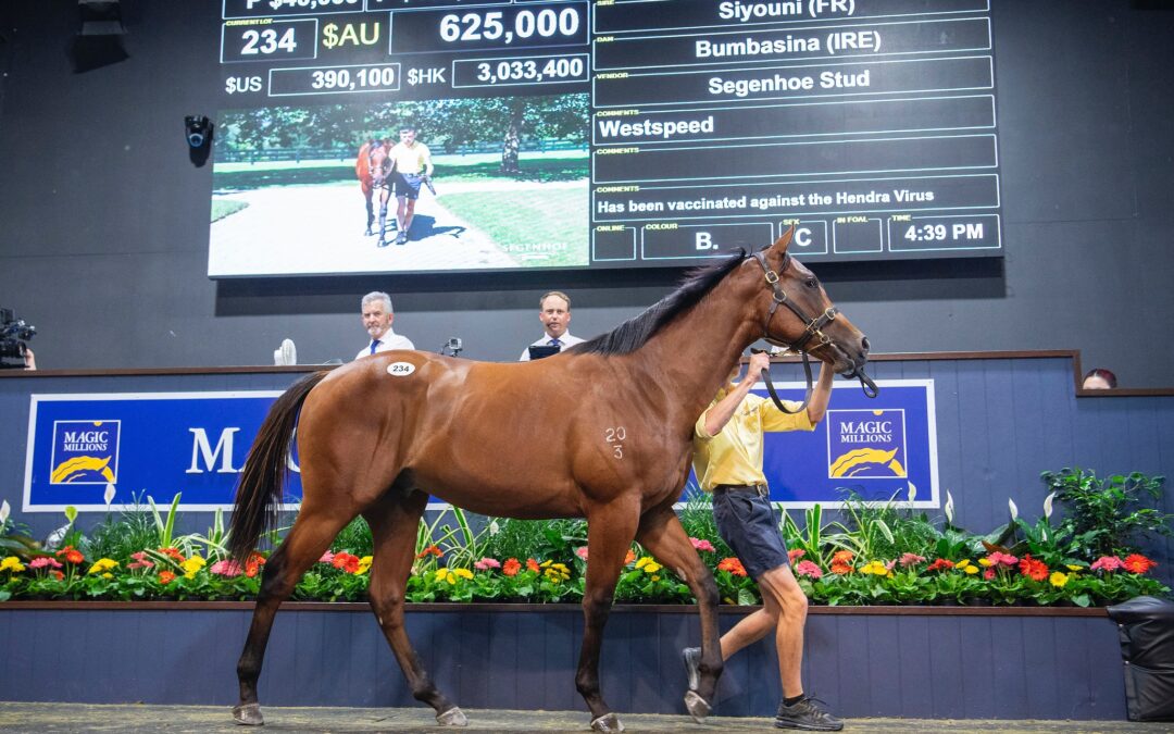 Brother to Amelia’s Jewel to race in Perth
