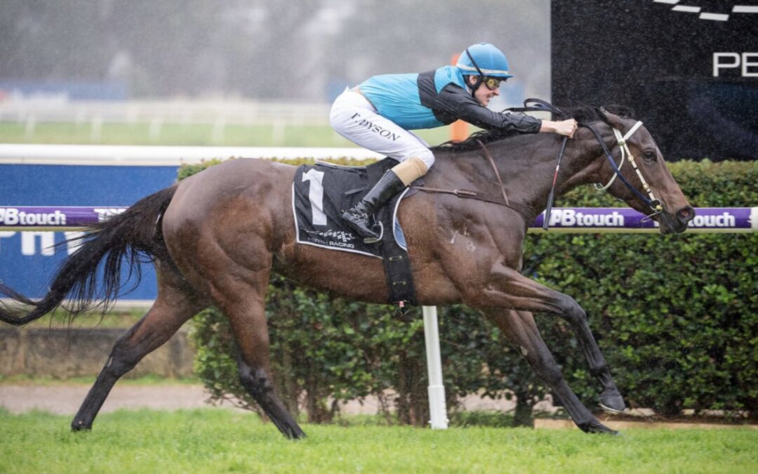 Spotlight on Sniparoochy at Belmont