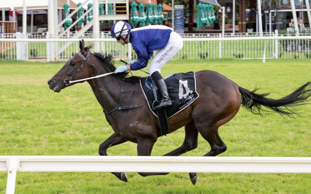 Sons of Playing God quinella Grandstand Cup