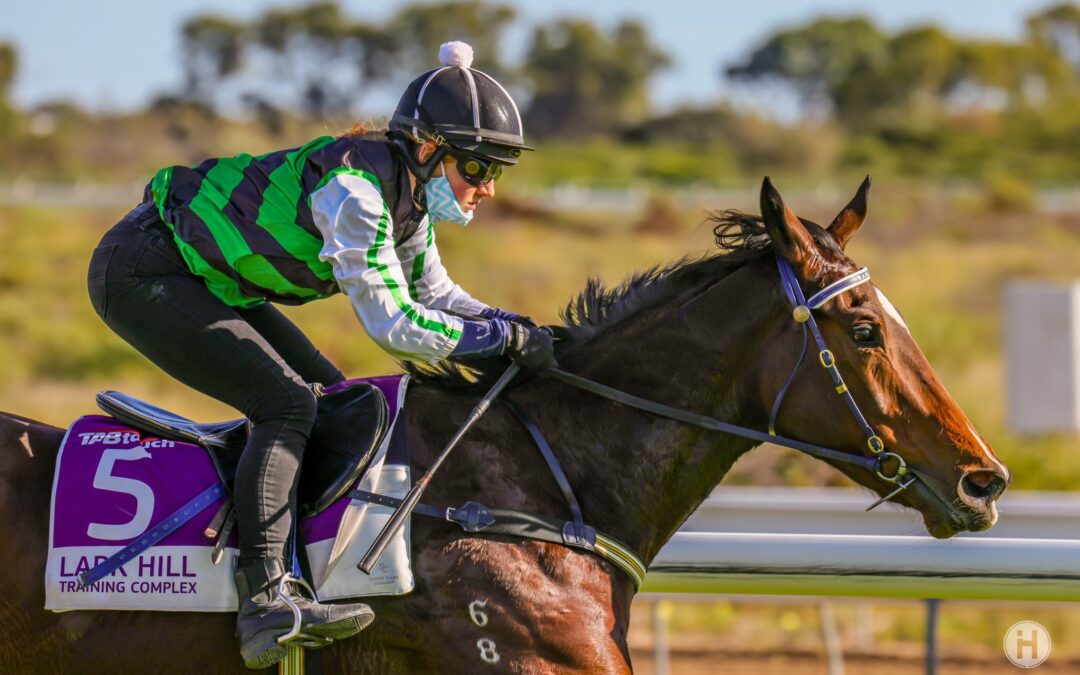 Geisel Park going from Kal to Karrakatta Plate